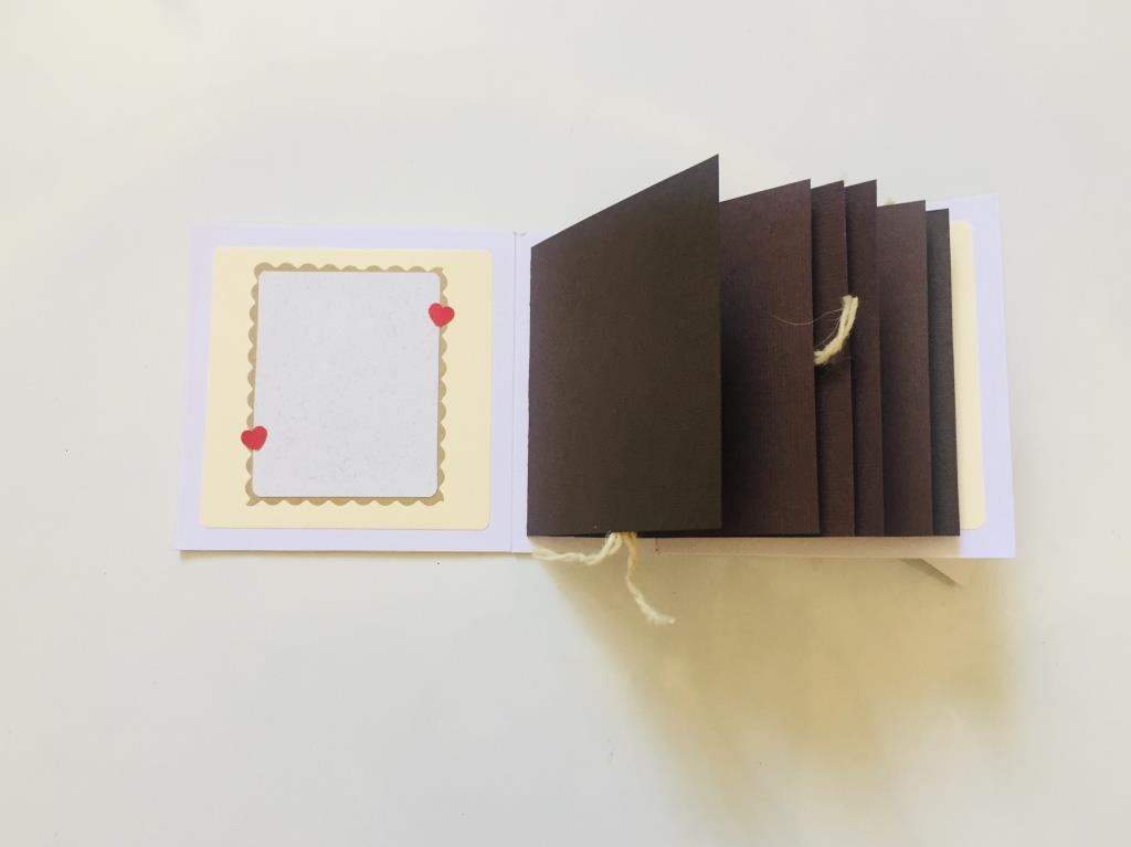 آلبوم سوپرایز