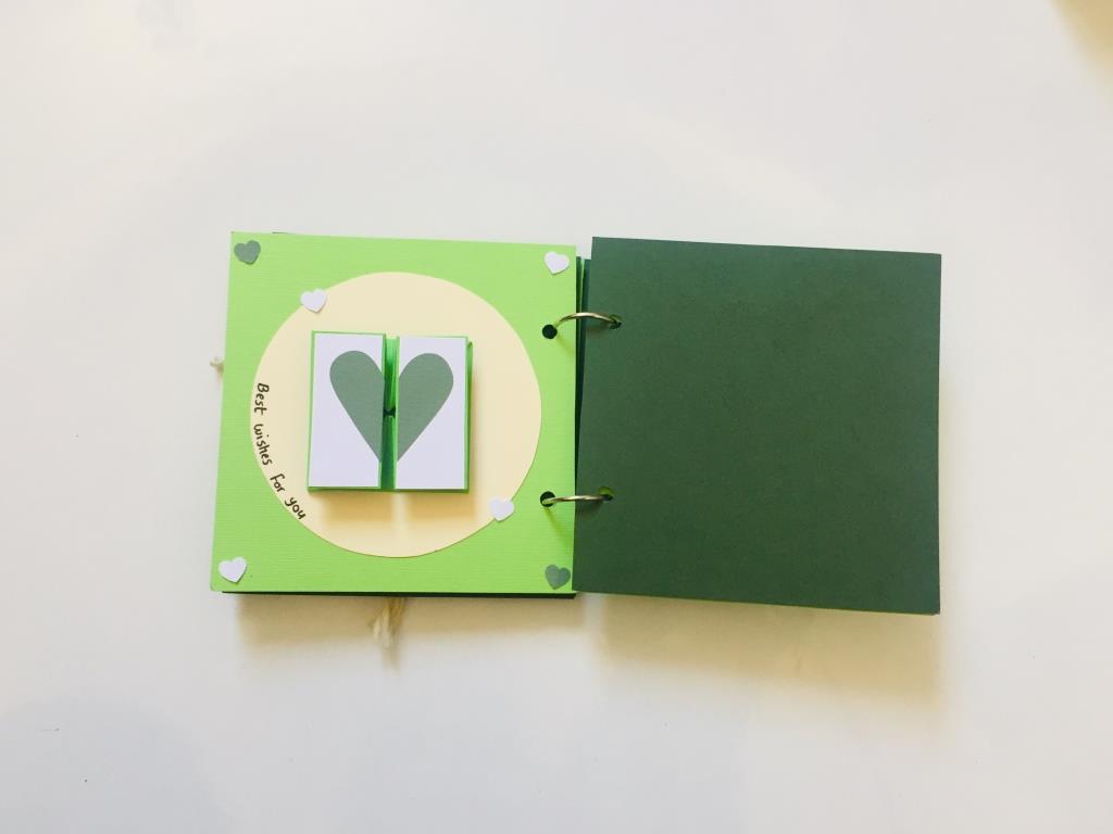 آلبوم سوپرایز