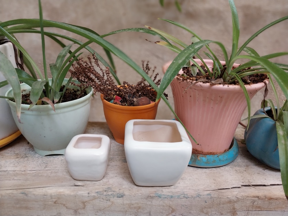 گلدان سرامیکی کوچک