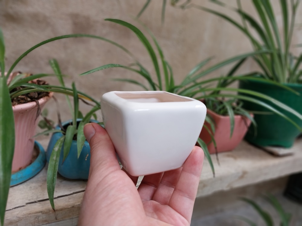 گلدان سرامیکی کوچک