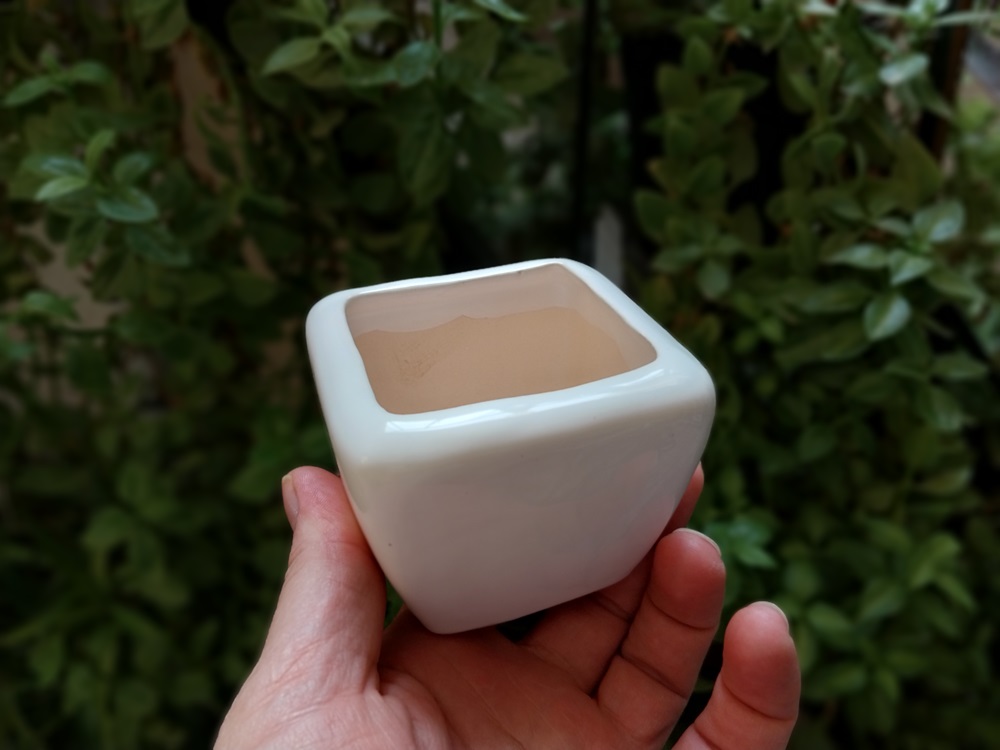 گلدان سرامیکی کوچک