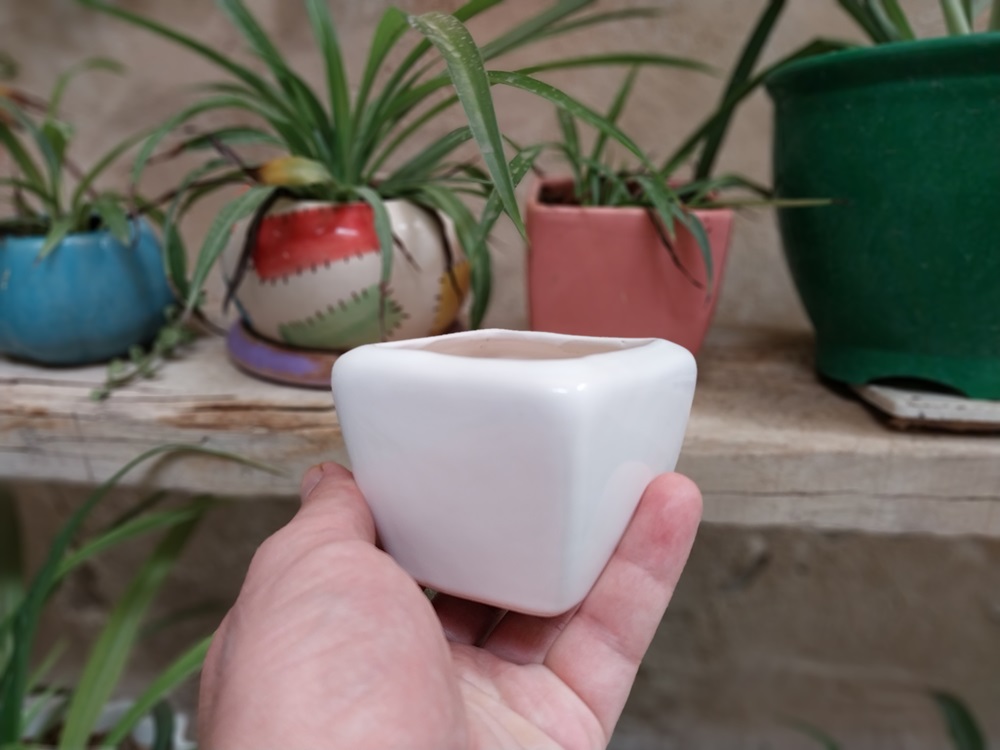 گلدان سرامیکی کوچک