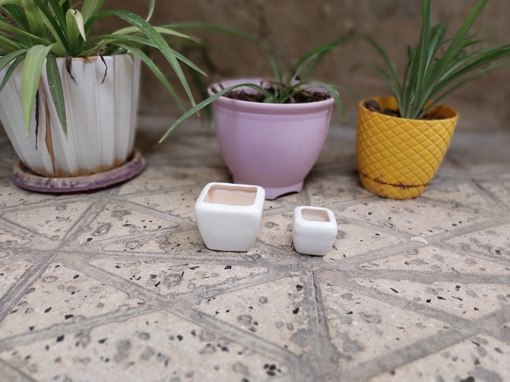 گلدان سرامیکی کوچک