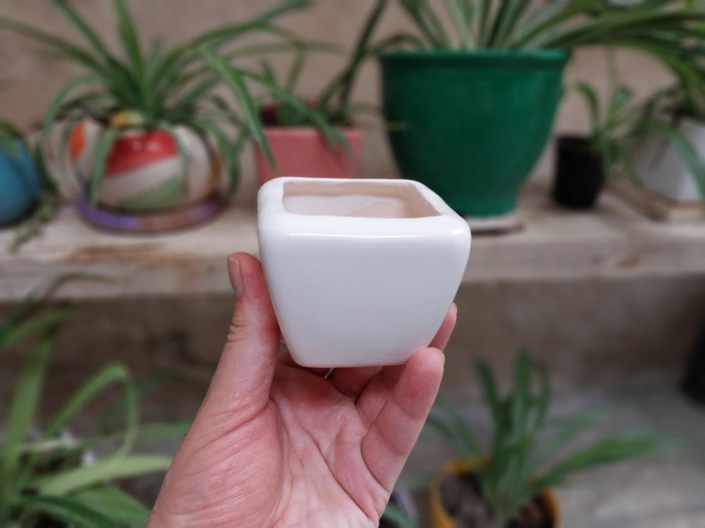 گلدان سرامیکی کوچک