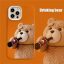 قاب آیفون طرح Drinking bear