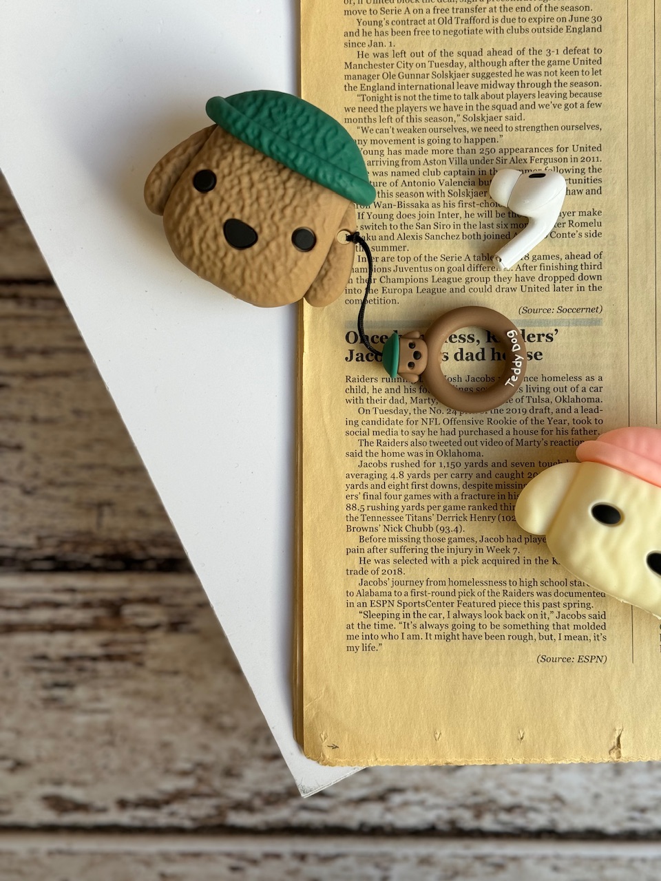 کاور ایرپاد سگ کلاه دار