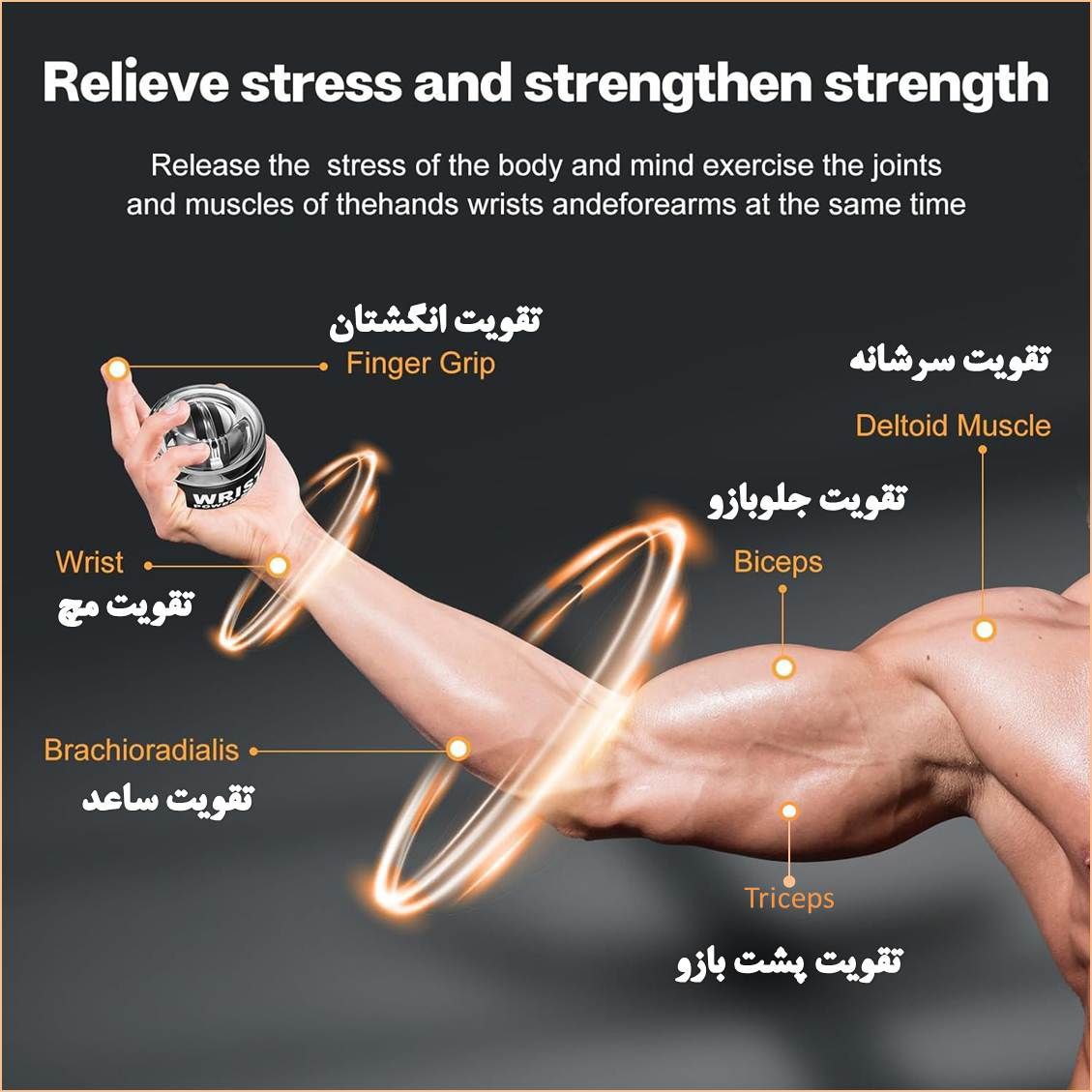 گوی تقویت عضلات دست