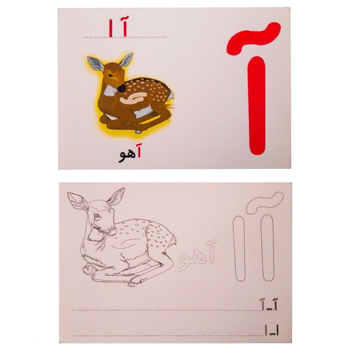 کارت آموزش الفبای فارسی همراه با طرح های نقاشی