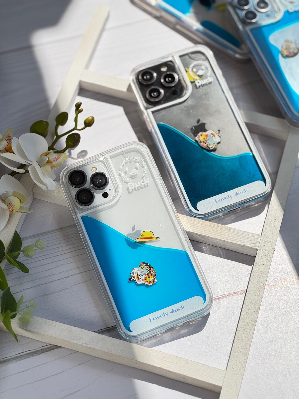 قاب آکواریومی کشتی