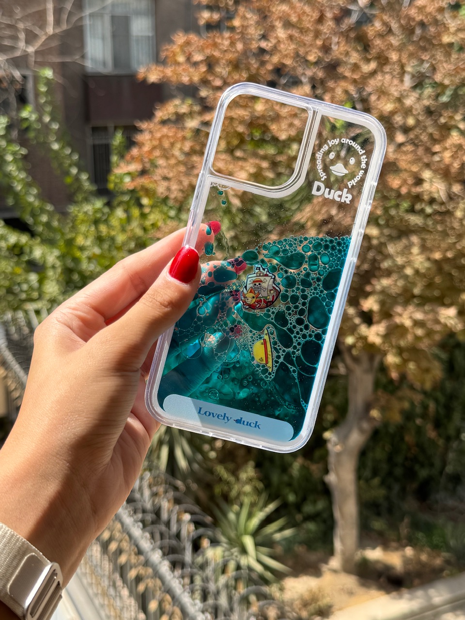 قاب آکواریومی کشتی