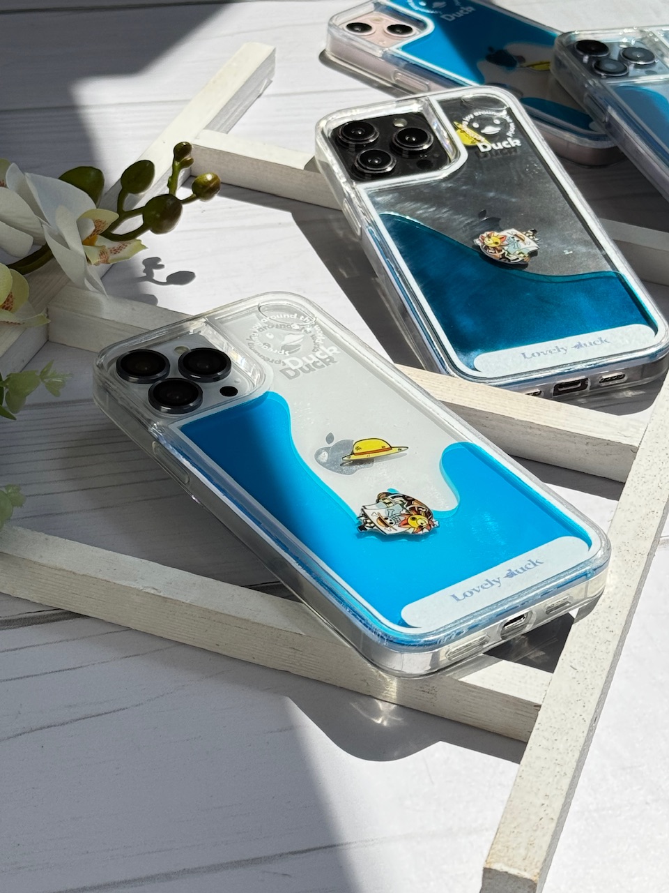 قاب آکواریومی کشتی