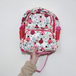 کیف کوله پشتی مدرسه ای طرح کفشدوزک