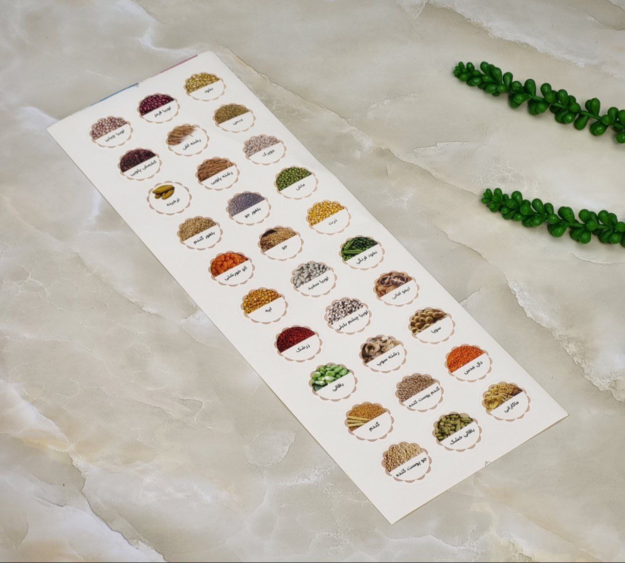 برچسب مواد غذایی گرد (حبوبات، سبزیجات، ادویه جات و پروتئین)