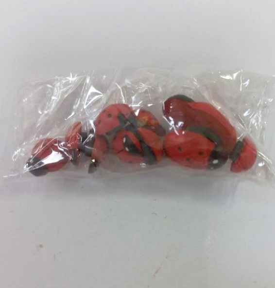 کفشدوزک مگنتی 10 تایی