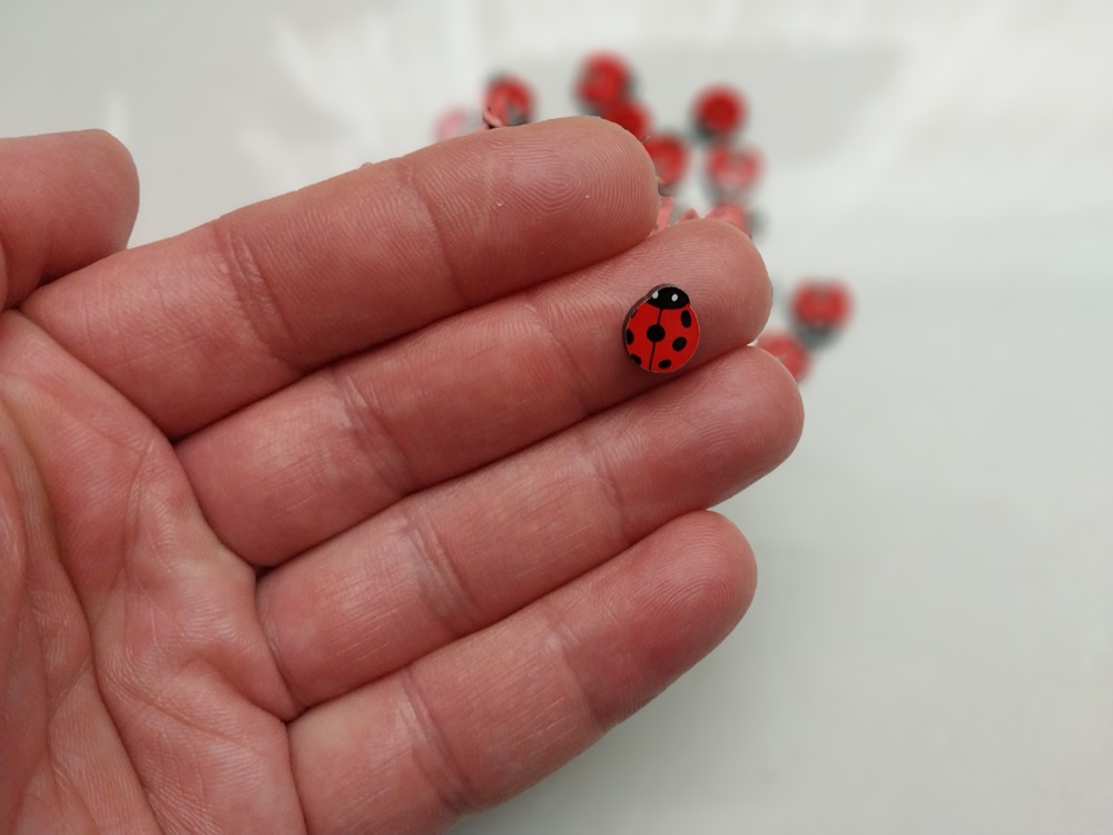 کفشدوزک تزئینی بدون چسب بسته 2 عددی