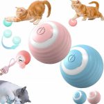 توپ هوشمند گربه و حیوانات