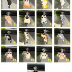 پلاگ فانتزی سوکت شارژ طرح سگ و گربه